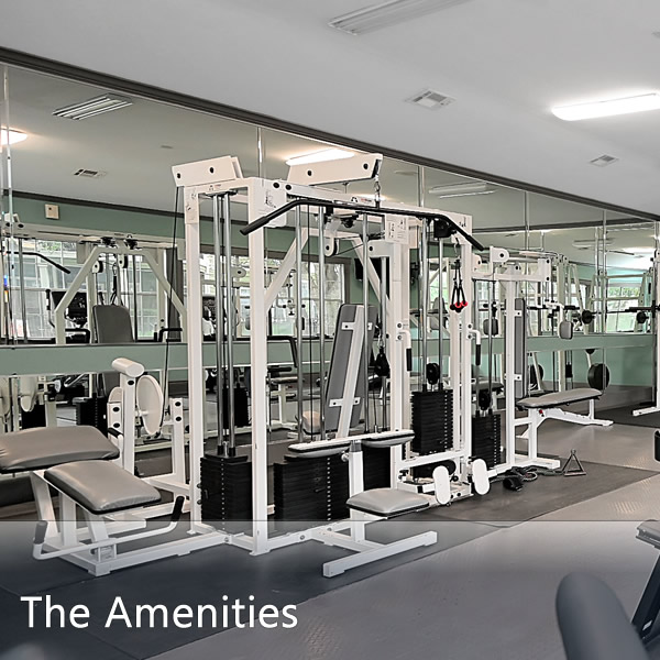 Features & Amenities